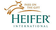heifer